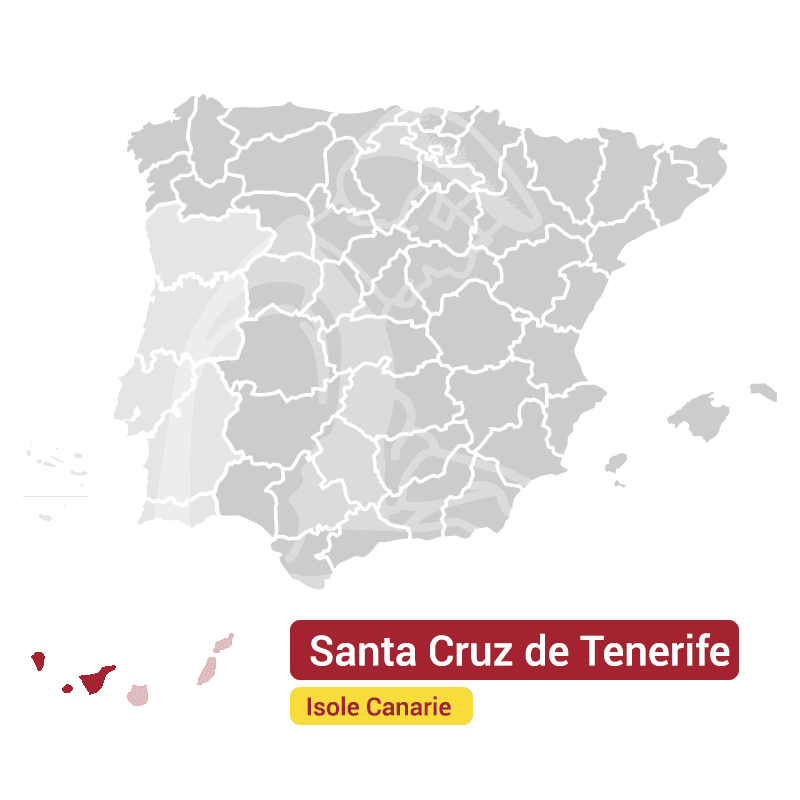 Canary-Santa